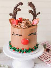 Christmas Novelty Cake